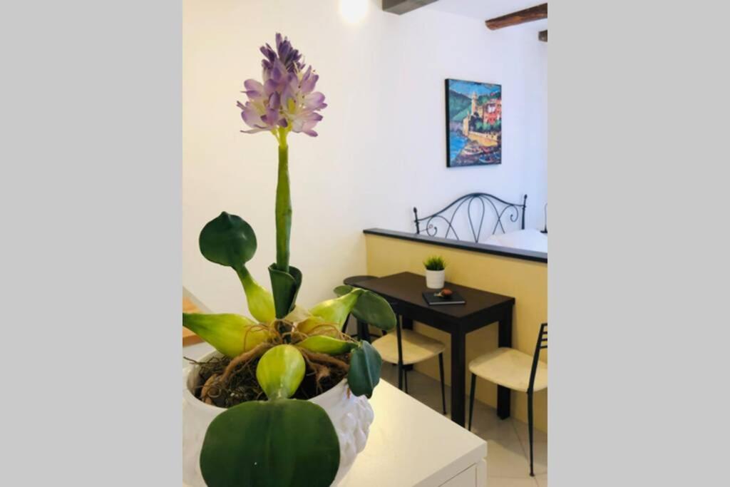 La Gianchina Di Vernazza - Central Cozy Apt Wi-Fi Dış mekan fotoğraf